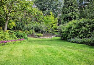 Optimiser l'expérience du jardin à Coudehard