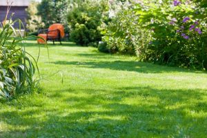 travaux jardin et paysage Coudehard